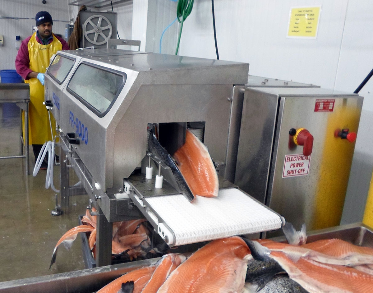 Stand-Alone Filleting Machines - Pisces Fish Machinery